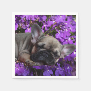 Französische Bulldogge Blumen French Bulldog  Serviette