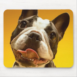 Französische Bulldogge, die oben schaut Mousepad