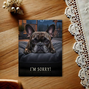 Französische Bulldogge Entschuldigungskarte Postkarte