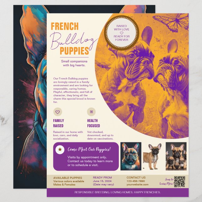 Französische Bulldogge Flyer Lila  (Vorne/Hinten)
