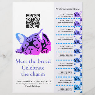Französische Bulldogge Flyer Treffen & Kennenlerne