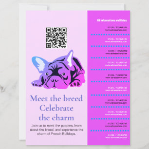 Französische Bulldogge Flyer Treffen & Kennenlerne