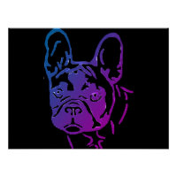 Französische Bulldogge Fotodruck Poster