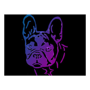 Französische Bulldogge Fotodruck Poster