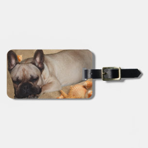 Französische Bulldogge Freizeit French Bulldog Gepäckanhänger
