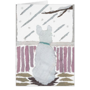 Französische Bulldogge, Frenchie, Schnee, Winter,