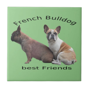 Französische Bulldogge Freunde French Bulldog Fliese