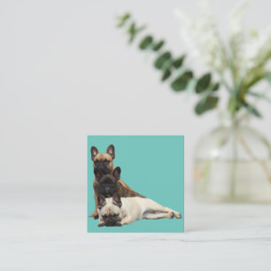 Französische Bulldogge Freunde French Bulldog Mitteilungskarte