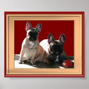 Französische Bulldogge Freunde French Bulldog  Poster