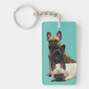 Französische Bulldogge Freunde French Bulldog Schlüsselanhänger