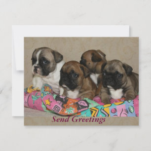 Französische Bulldogge Frohe Weihnachten Einladung