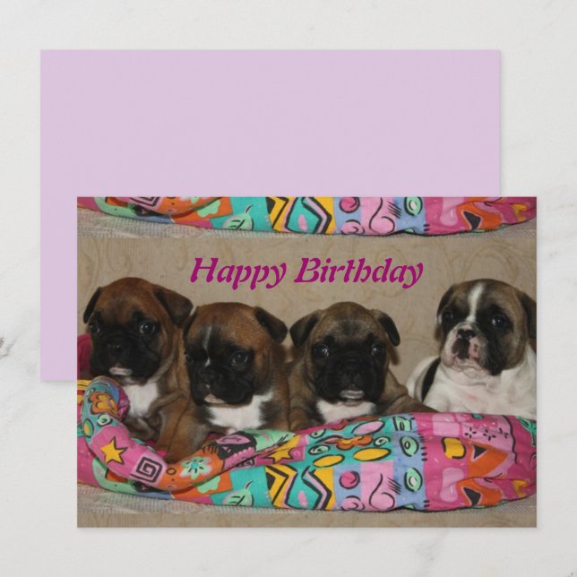 Französische Bulldogge Geburtstag French Bulldog Einladung (Vorne/Hinten)