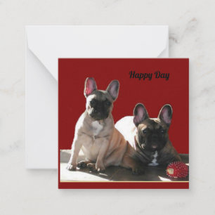 Französische Bulldogge Geburtstag French Bulldog Mitteilungskarte