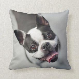 Französische Bulldogge Getty Bild-  Kissen