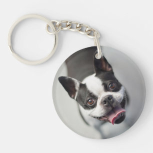 Französische Bulldogge Getty Bild- Schlüsselanhänger