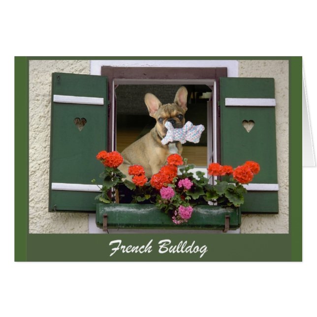 Französische Bulldogge Grußkarte (Vorderseite (Horizontal))