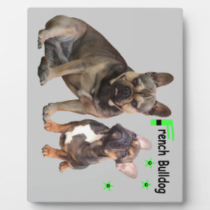 Französische Bulldogge Gute Freunde French Bulldog Fotoplatte