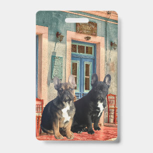 Französische Bulldogge Haus French Bulldog Ausweis