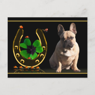Französische Bulldogge Hufeisen French Bulldog Postkarte