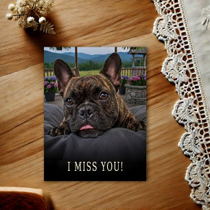 Französische Bulldogge Ich-vermisse-dich-Postkarte Postkarte