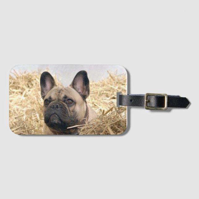Französische Bulldogge im Stroh French Bulldog  Gepäckanhänger (Vorderseite (Horizontal))