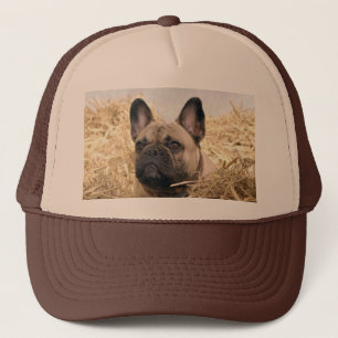 Französische Bulldogge im Stroh French Bulldog Truckerkappe