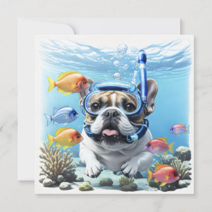 Französische Bulldogge im Urlaub French Bulldog