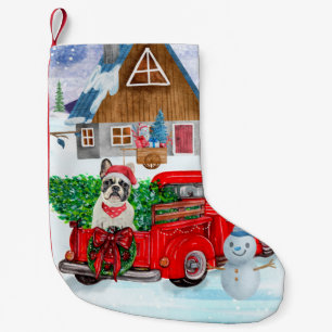 Französische Bulldogge im Weihnachtslieferwagen Sc Kleiner Weihnachtsstrumpf