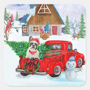 Französische Bulldogge im Weihnachtslieferwagen Sc Quadratischer Aufkleber