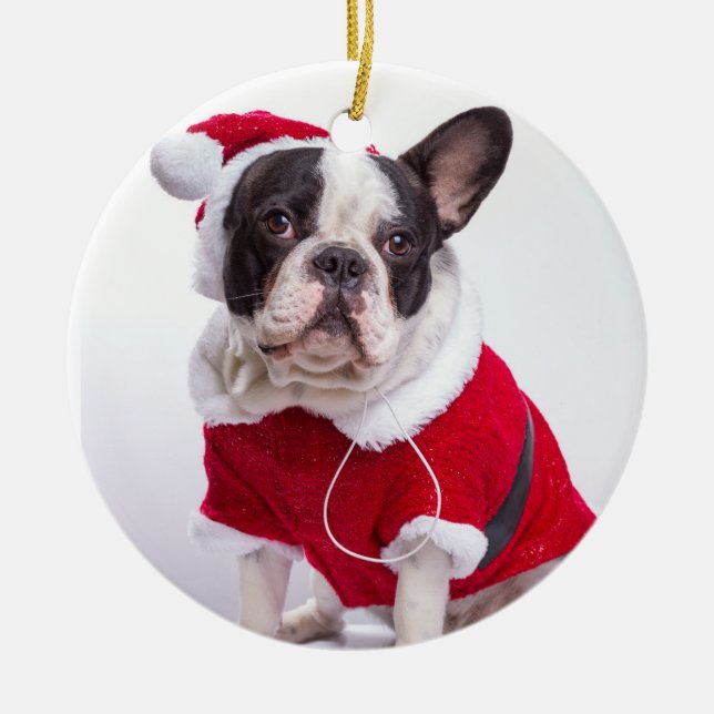 Französische Bulldogge in Sankt-Kostüm für Keramikornament (Vorne)