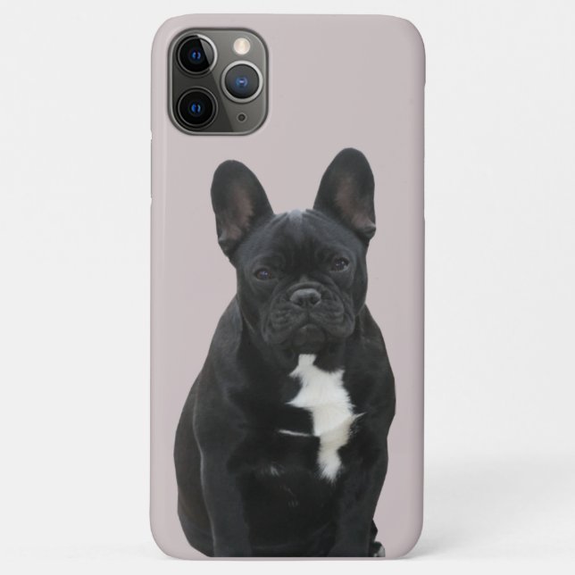 Französische Bulldogge iPhone 11 Pro Max Hülle (Rückseite)