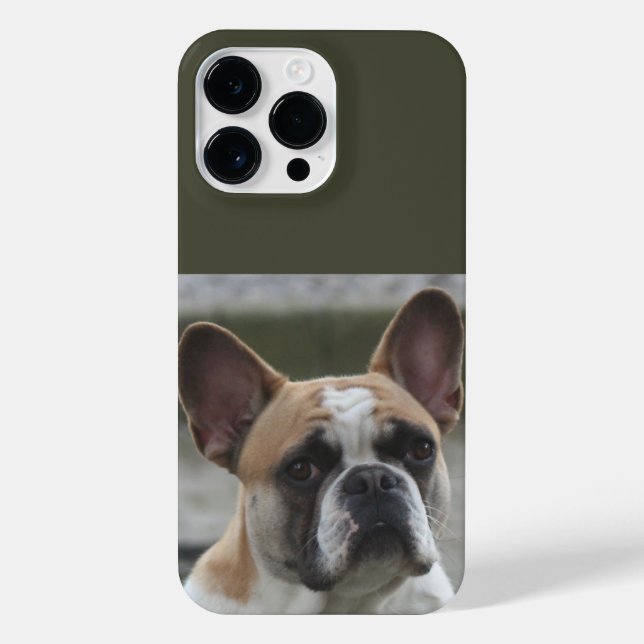 Französische Bulldogge  iPhone 14 Pro Max Hülle (Rückseite)