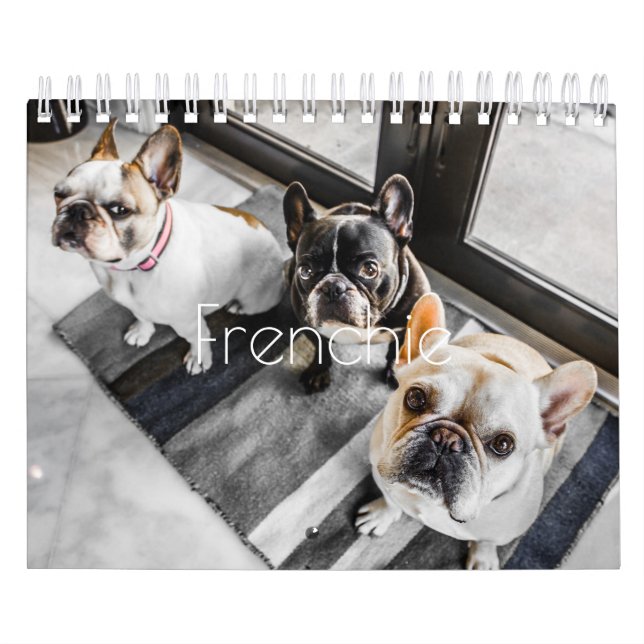 Französische Bulldogge Kalender (Titelbild)