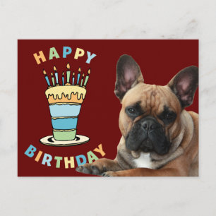 französische Bulldogge Kerzen French Bulldog  Postkarte