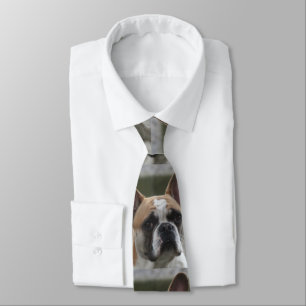 Französische Bulldogge Krawatte