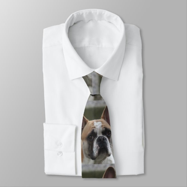 Französische Bulldogge Krawatte (Gebunden)