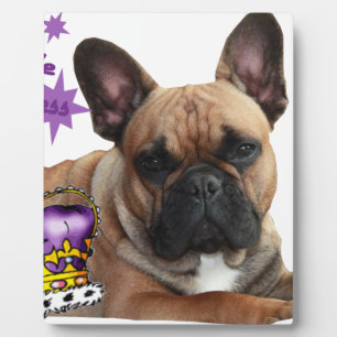 Französische Bulldogge Krone French Bulldog Fotoplatte