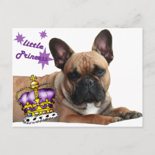 Französische Bulldogge Krone French Bulldog Postkarte