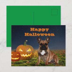 französische Bulldogge Kürbis French Bulldog Postkarte