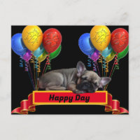 Französische Bulldogge Luftballon French Bulldog