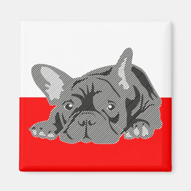 Französische Bulldogge Magnet (Vorne)