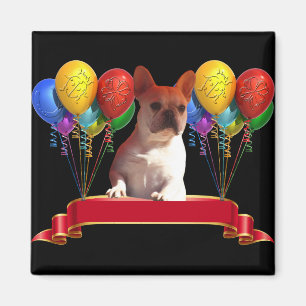 französische Bulldogge mit Ballons  Magnet