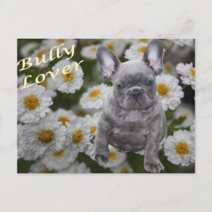 Französische Bulldogge mit Blumen French Bulldog Postkarte