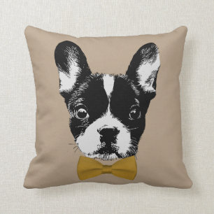 Französische Bulldogge mit Kissen