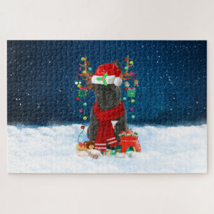 Französische Bulldogge mit Weihnachtsgeschenken