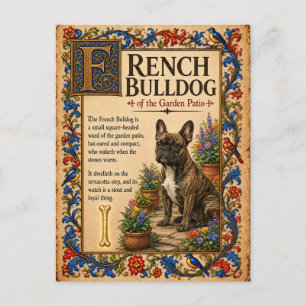 Französische Bulldogge, mittelalterliche Bestiarie Postkarte