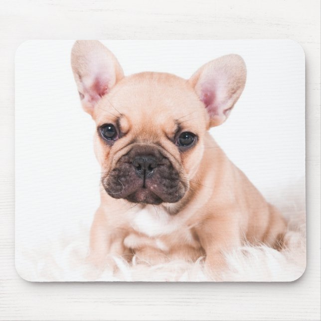 Französische Bulldogge Mousepad (Vorne)