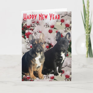 Französische Bulldogge Neujahr French Bulldog Feiertagskarte
