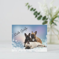 Französische Bulldogge Neujahr French Bulldog