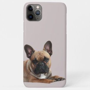 Französische Bulldogge Niedlich French Bulldog Case-Mate iPhone Hülle